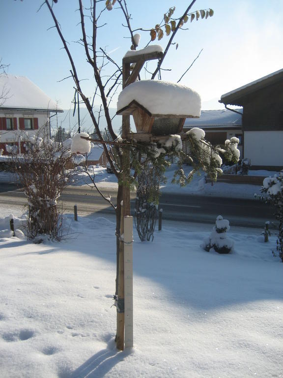 Ferienhaus Troy Doren Exterior photo
